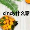 cindy什么意思中文意思（cindy什么意思）