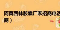 阿莫西林膠囊廠家招商電話(阿莫西林膠囊招商)