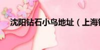 沈陽鉆石小鳥地址(上海鉆石小鳥地址)