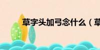 草字頭加弓念什么(草字頭加弓)