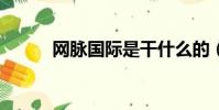 網脈國際是干什么的(網脈e代)