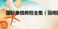 國際象棋教程全集(簡明國際象棋教程)