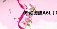 09款奧迪A6L(09款)