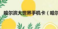 哈爾濱大世界手機卡(哈爾濱大世界手機)
