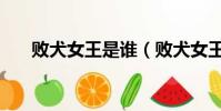 敗犬女王是誰(敗犬女王是什么意思)