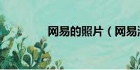 網易的照片(網易洗照片)
