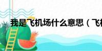 我是飛機場什么意思(飛機場什么意思)