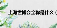 上海世博會全稱是什么(世博會全稱)