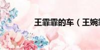 王霏霏的車(王婉霏車展)