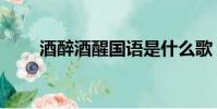 酒醉酒醒國語是什么歌(酒醉酒醒)