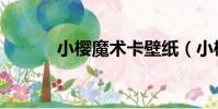 小櫻魔術卡壁紙(小櫻魔術卡)