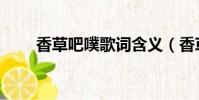 香草吧噗歌詞含義(香草吧噗歌詞)