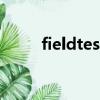 fieldtest是什么意思（fieldtest）