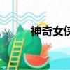 神奇女俠（關于神奇女俠的簡介）