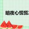 暗夜心慌慌2（關于暗夜心慌慌2的簡介）