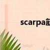 scarpa筋膜怎么讀（scarpa筋膜）