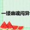 一縷幽魂闖異世免費閱讀（一縷幽魂闖異世）