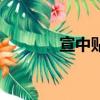 宣中貼吧官網（宣宣休閑吧）
