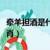 牽羊擔酒是什么生肖動物（牽羊擔酒是什么生肖）