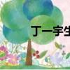 丁一宇生活照（丁一宇整容前后）