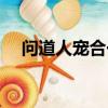 問道人寵合一多少級學（問道人寵合一）