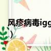 風疹病毒igg偏高對懷孕有影響嗎（風疹病毒）