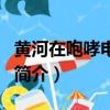 黃河在咆哮電視劇（關于黃河在咆哮電視劇的簡介）