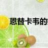 恩替卡韋的療效（恩替卡韋片治療效果）