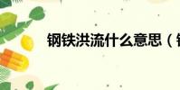 鋼鐵洪流什么意思(鋼鐵洪流)