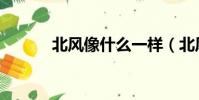 北風像什么一樣(北風像什么)
