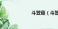 斗笠菇(斗笠)