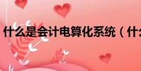 什么是會計電算化系統(什么是會計電算化)