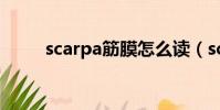 scarpa筋膜怎么讀(scarpa筋膜)