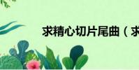 求精心切片尾曲(求精心切)