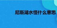 尼斯湖水怪什么意思(尼水怪)