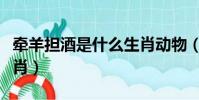牽羊擔酒是什么生肖動物(牽羊擔酒是什么生肖)