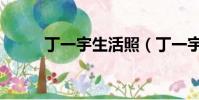 丁一宇生活照(丁一宇整容前后)