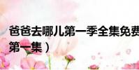 爸爸去哪兒第一季全集免費播放(爸爸去哪兒第一集)
