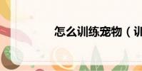 怎么訓練寵物(訓寵網)