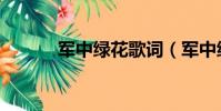 軍中綠花歌詞(軍中綠花原唱)