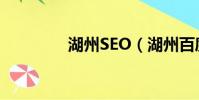 湖州SEO(湖州百度推廣)