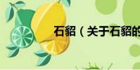 石貂(關于石貂的簡介)