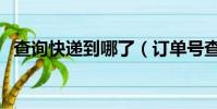 查詢快遞到哪了(訂單號查詢快遞到哪了)