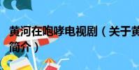 黃河在咆哮電視劇(關于黃河在咆哮電視劇的簡介)
