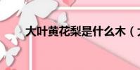 大葉黃花梨是什么木(大葉黃花梨)