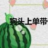 狗頭上單帶什么召喚師技能（狗頭上單）