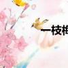 一枝梅（關于一枝梅的簡介）