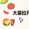 大幕拉開（關于大幕拉開的簡介）