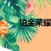 鉑金榮耀HP 百度網盤（鉑金榮耀）