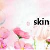 skins（關于skins的簡介）